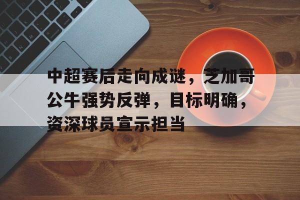 开云体育官网-中超联赛规则